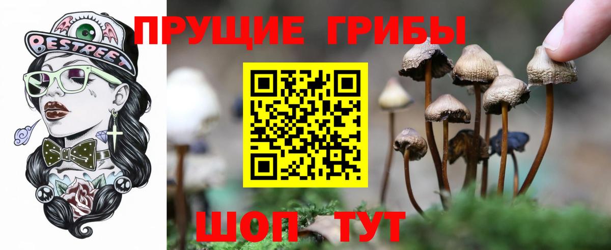 Псилоцибиновые грибы Magic Shrooms  Вход с VPN  Корсаков  Псилоцибиновые грибы мицелий 